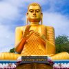 Viaje con guia a Sri Lanka