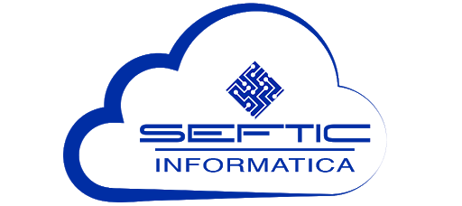 Servicios Eficientes TIC